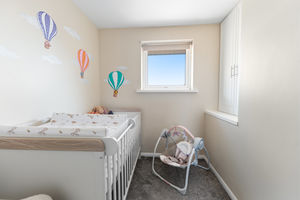 Photo 15- click for photo gallery
